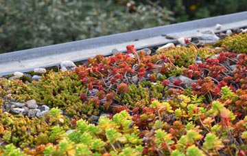 the cost of Craigs green roof installation