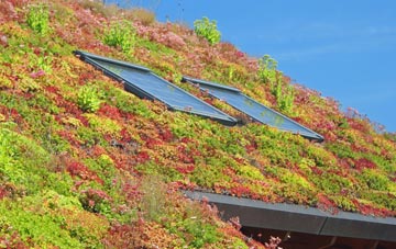 Craigs living roof systems