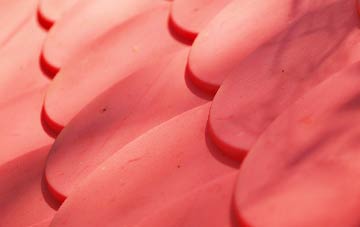 Craigs plastic roof costs