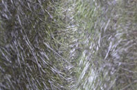 Craigs fibreglass roof work